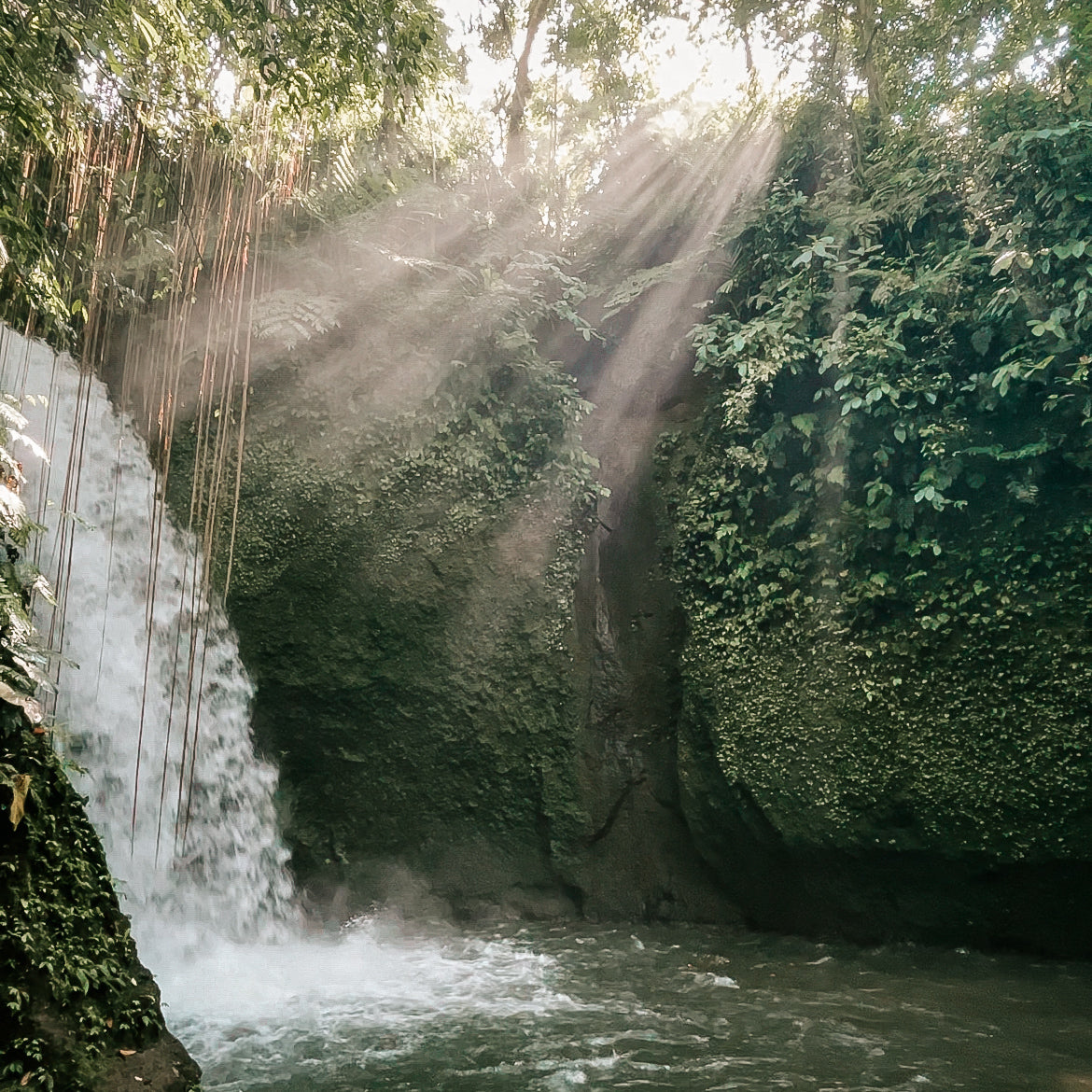Purification et découverte d'Ubud