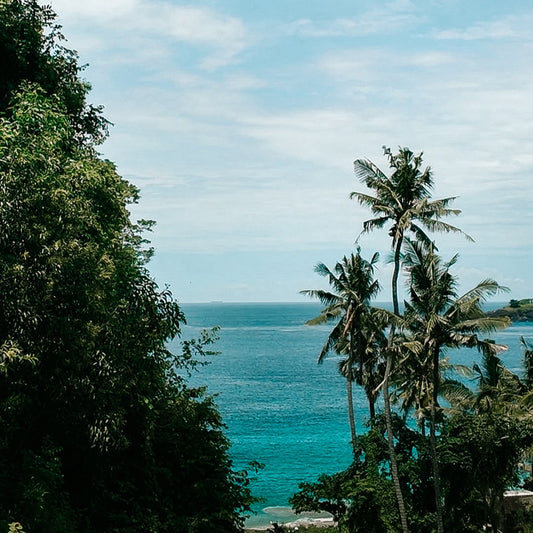 Les temples de L'Est de Bali