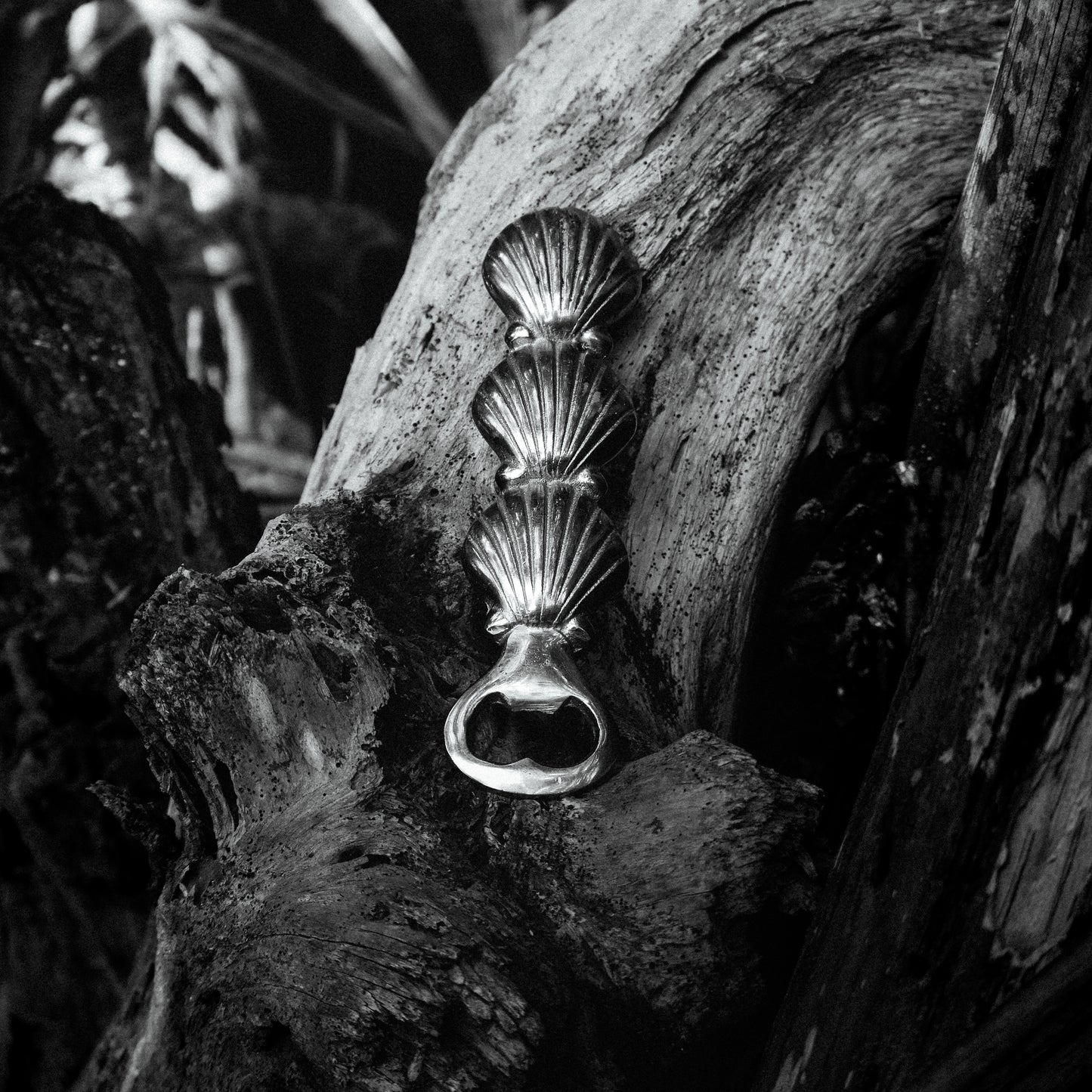 đ DĂ©capsuleur en laiton - Coquillages