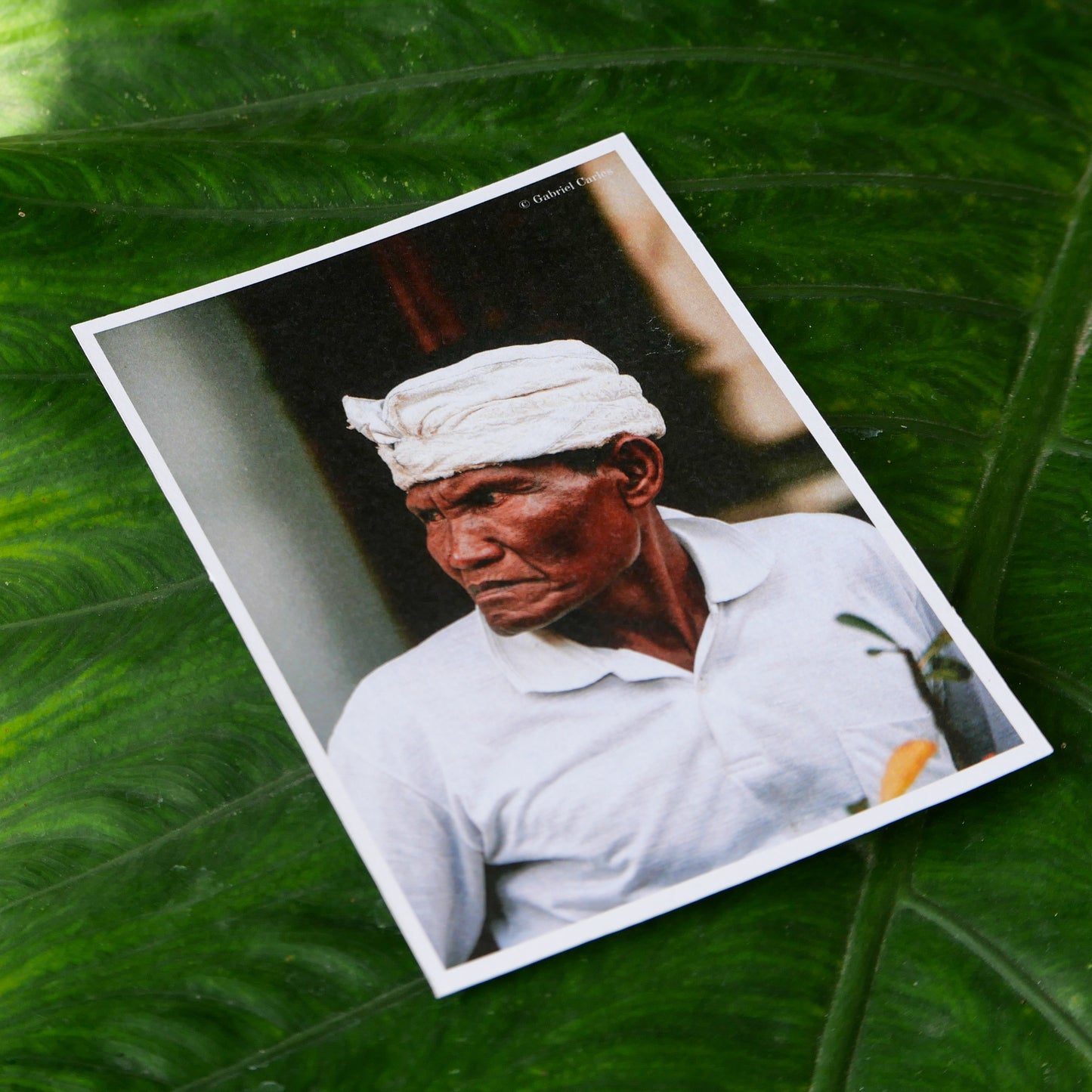 📸 Cartes Postales Édition Limitée - Mood of Bali x Gabriel Carles