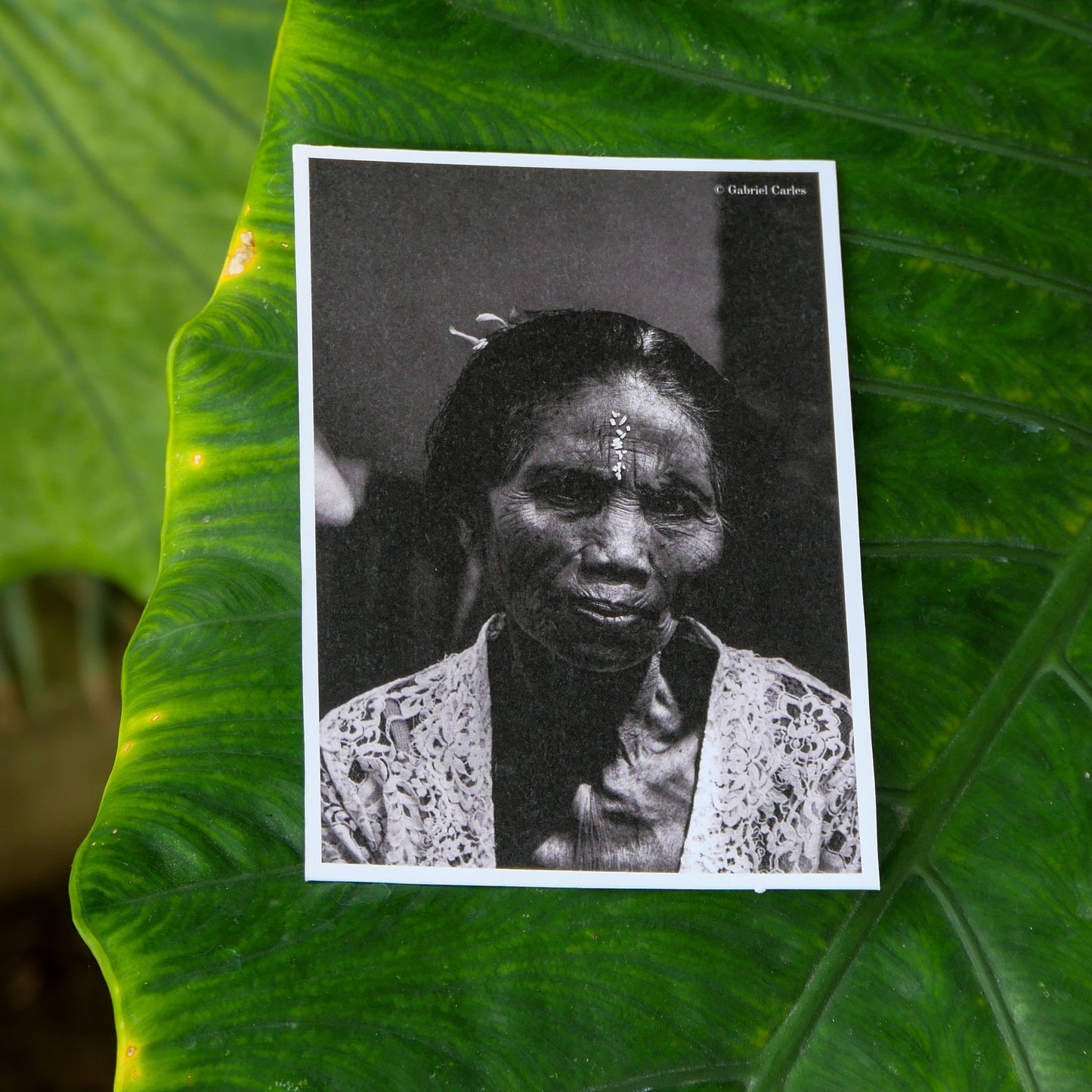 📸 Cartes Postales Édition Limitée - Mood of Bali x Gabriel Carles