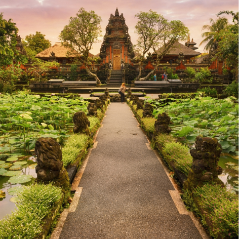 Le VISA ON ARRIVAL (VOA) à Bali : ce que vous devez savoir pour visiter Bali