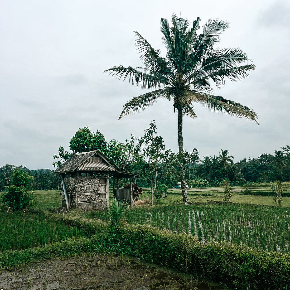 Anticiper son voyage : l’assurance d’un séjour réussi ✈️