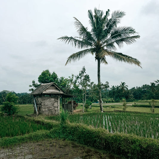 Anticiper son voyage : l’assurance d’un séjour réussi ✈️