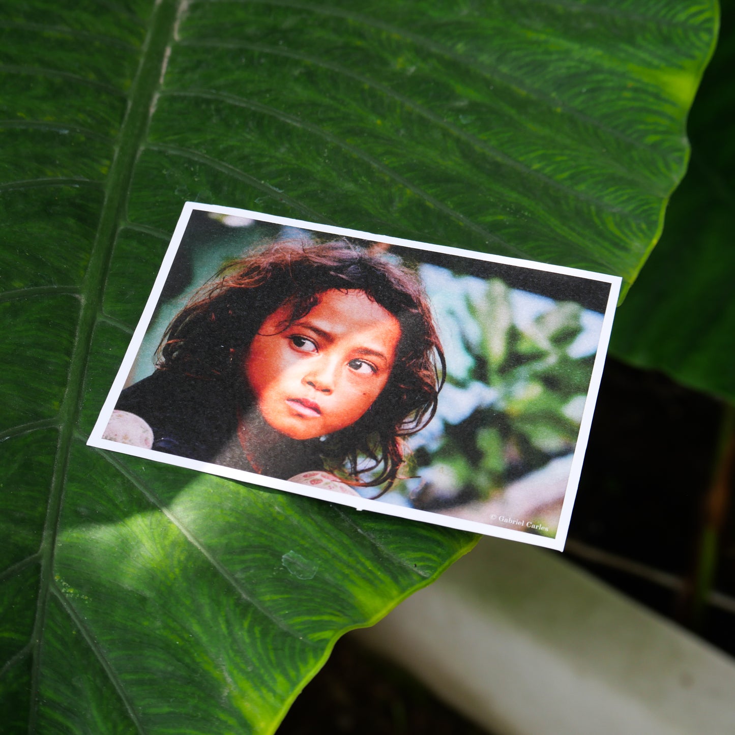 📸 Cartes Postales Édition Limitée - Mood of Bali x Gabriel Carles